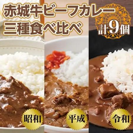 【赤城牛 ビーフカレー】三種食べ比べ（計9個） 昭和・平成・令和のビーフカレー カレー レトルト