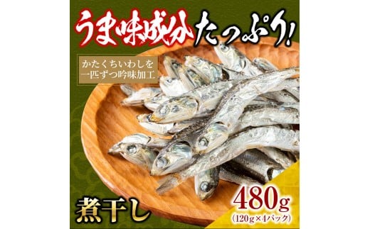 煮干し 480g(120g×4)【小分け セット いわし 鰯 カタクチイワシ 人気 出汁 おやつ おつまみ 香川県 さぬき市】