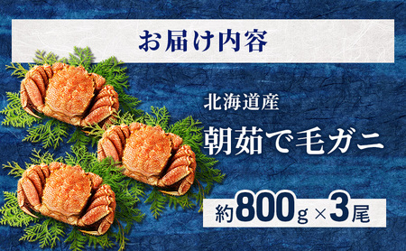 ［冷蔵便］茹でたて直送！北海道産 朝茹で毛ガニ 約800g×3尾【 かに カニ 蟹 幕別町 北海道 毛蟹 毛ガニ 海鮮 魚介 海の幸 海産物 冷蔵 】