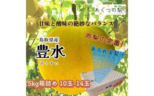 豊水梨 5kg箱詰め(鳥取県佐治町産) [あくつの梨]