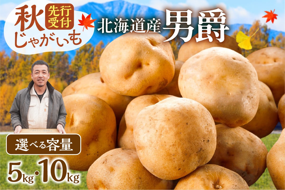 
            先行受付【選べる内容量！】ホクホク！しっとりなめらか！ 北海道産 男爵 いも じゃがいも 男爵いも 約5kg じゃがいも いも 芋 産地直送 秋_S041
          