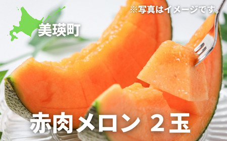 メロン 北海道 赤肉メロン 2玉【令和9年産 先行予約】北海道 メロン  美景農園