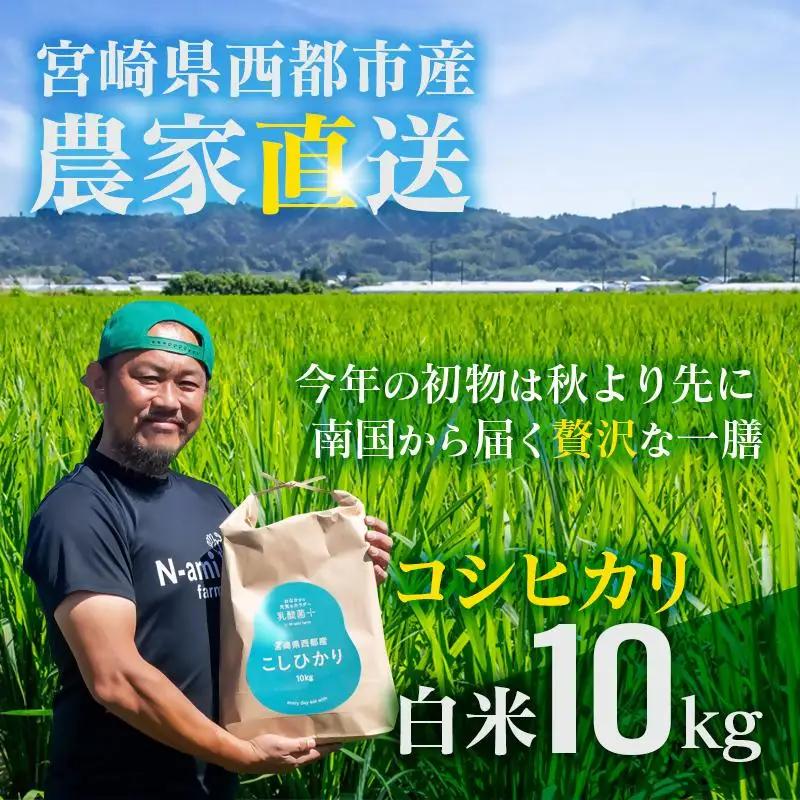 【令和8年産新米・先行予約】農家直送　こしひかり 10kg 精米済み 8月より発送開始＜57-3a＞