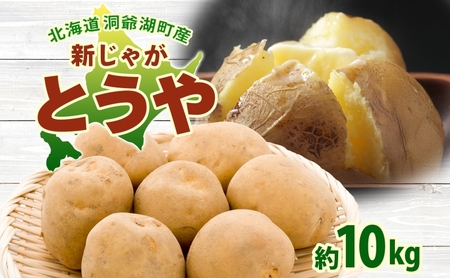 新じゃがいも とうや 約10kg TYJM10 北海道 洞爺湖町産
