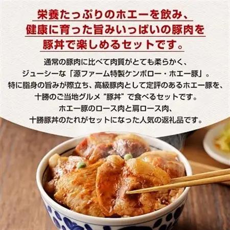北海道十勝のグルメ!ホエー豚の豚丼セット(10人前)_肉  豚肉   調味料   _【配送不可地域：離島】【1396942】