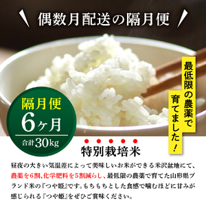 【先行予約】隔月定期便 全6回 つや姫 5kg × 6回 計 30kg 〈2026年10月から偶数月配送〉特別栽培米 節減対象農薬：当地比6割減 化学肥料：当地比5割減 ブランド米 産地直送 2026
