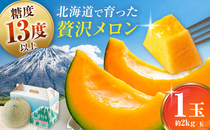 
            【先行予約】ようていメロン 赤肉 1玉 (約2kg/玉)《喜茂別町》【Aコープようてい】 メロン めろん 赤肉 赤肉メロン 贈答 贈答用 贈答品 贈り物 先行予約 デザート フルーツ 果物 常温 常温配送 北海道 甘い ギフト プレゼント 産直 贅沢 ぜいたく ご褒美 特別 季節限定 期間限定 [AJAK023] 9000 9000円 9千円
          