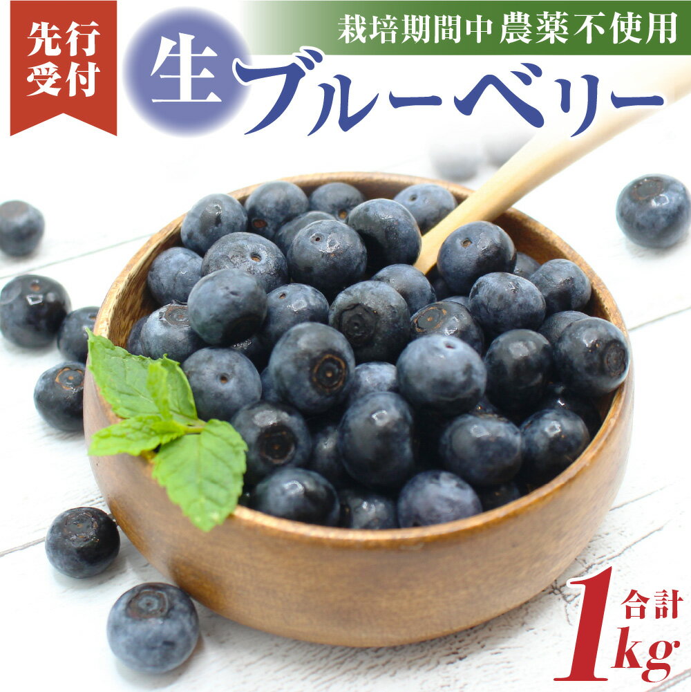 【ふるさと納税】【レビューCP対象】栽培期間中無農薬・有機肥料で丹精込めて栽培した「ブルーベリー」1kg【2025年収穫】【JAほたるの里】_HA0273 送料無料栽培期間中無農薬・有機肥料 冷凍保存可能