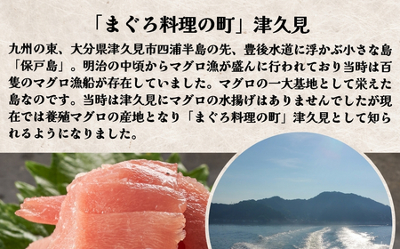 まぐろ中トロ切落し 1パック（100g）　| 津久見市