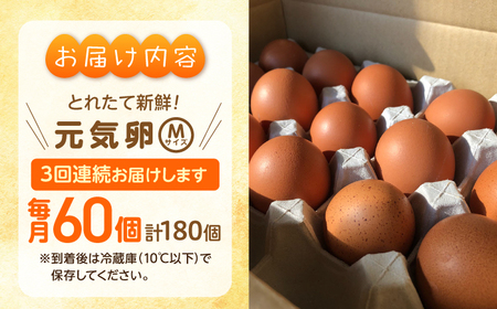 【定期便】お茶と海藻で健康育ち 元気卵 180個（60個×3回） 亀山市/藪本養鶏園 タマゴ 玉子 送料無料[AMBH006]