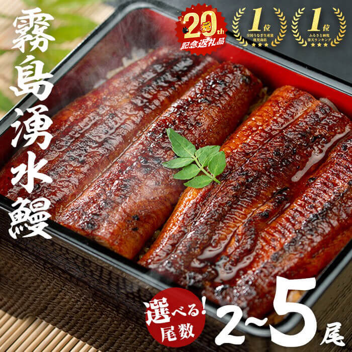 うなぎ生産量日本一の鹿児島県！山田水産の霧島湧水鰻 160g以上×5尾＜計800g以上＞