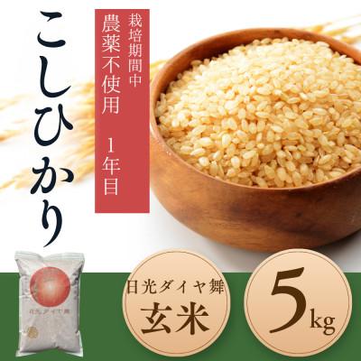 ふるさと納税 日光市 こしひかり玄米5kg　日光ダイヤ舞　栽培期間中農薬不使用1年目　◆お米◆美味しい◆玄米