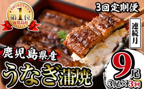 i854-A ＜定期便・計3回(連続月)＞鹿児島県産うなぎ蒲焼3尾セット＜(約140g×3・計約420g)×全3回＞ うなぎ 鰻 ウナギ 2尾 蒲焼き 国産 鹿児島県産 焼きたて 生産量日本一 真空パ