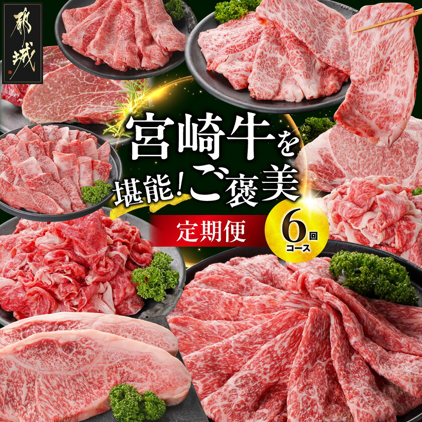 【ふるさと納税】【6回定期便】宮崎牛を堪能「ご褒美」定期便 - 宮崎牛 サーロインステーキ ローススライス 赤身切り落とし サーロインブロック カルビ焼肉用 バラ切り落とし ヒレステーキ 6カ月定期便 6回お届け 牛肉 送料無料 TAI6-6-N4-014 【宮崎県都城市】