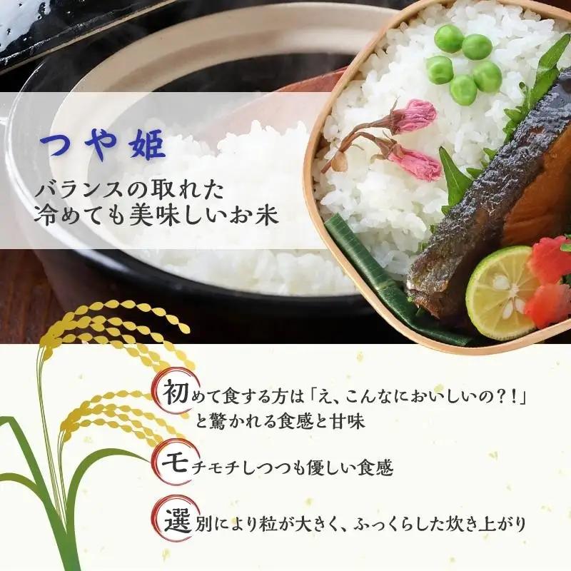 【定期便】 令和8年産 つや姫 5kg 2ヶ月連続 精米 お米 米 こめ コメ  