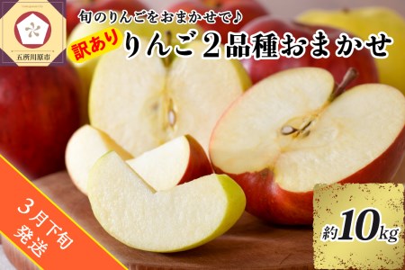 【2025年3月下旬発送】 【訳あり】 旬の美味しい りんご 約10kg 青森産 【おまかせ2品種】 