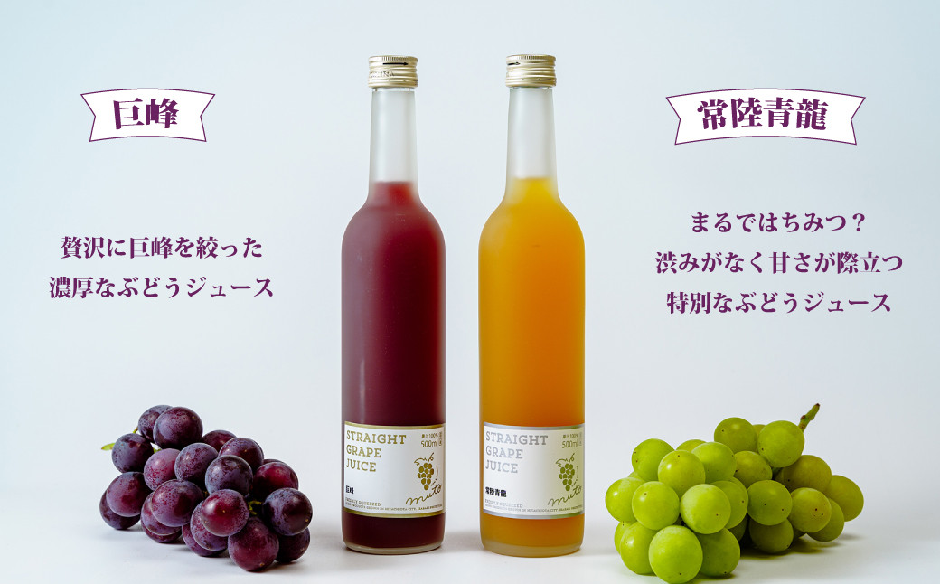 希少品種を使用した贅沢ぶどうジュース２本セット