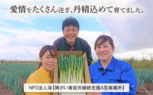 【先行予約】鳥取県産　白ネギの4kgバラ詰め合わせ