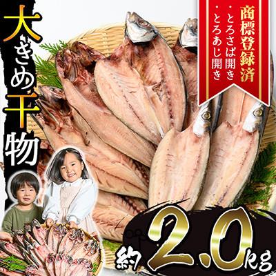 ふるさと納税 日置市 大きめ干物詰合せ 計2.0kg! 【みのだ食品】 No.406-A