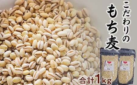 岩手県産 もち麦 はねうまもち 1kg （500g×2袋） ／ 十一代目藤助 雑穀 産地直送 農家直送