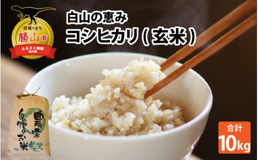 【先行予約】白山の恵み 令和7年度産 新米 コシヒカリ（玄米）10kg  [B-009013]