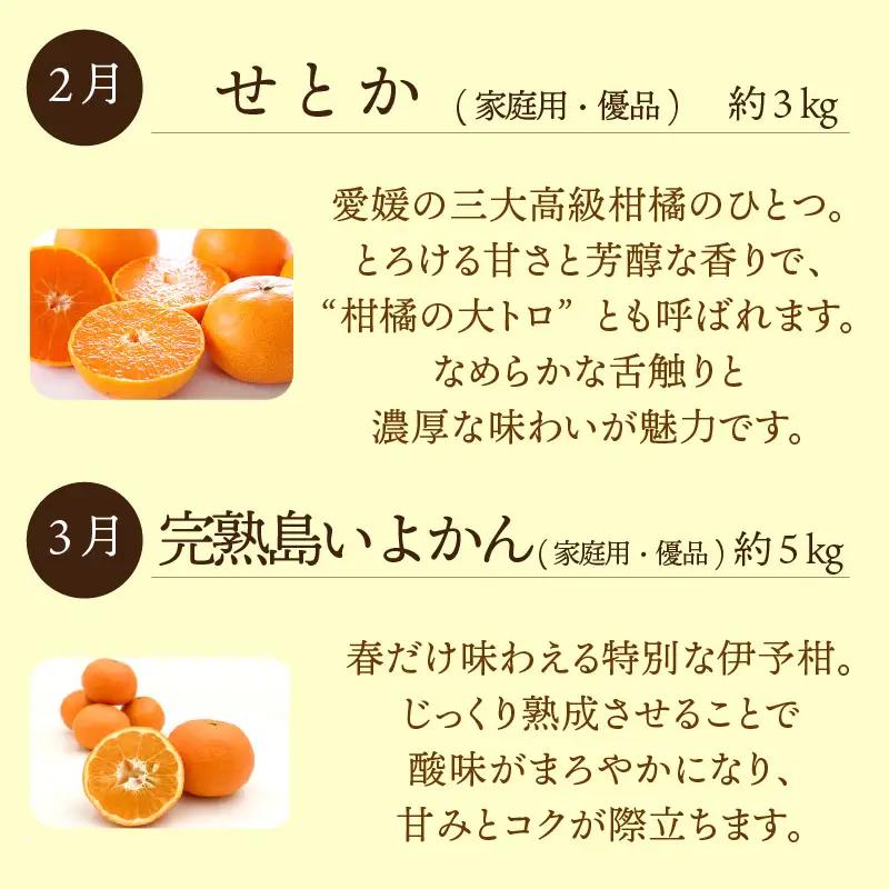 愛媛みかん 定期便 【全4回】 農家の一押し！ セレクト定期便 | 愛果28号 石地みかん せとか 完熟島いよかん 【KK337】