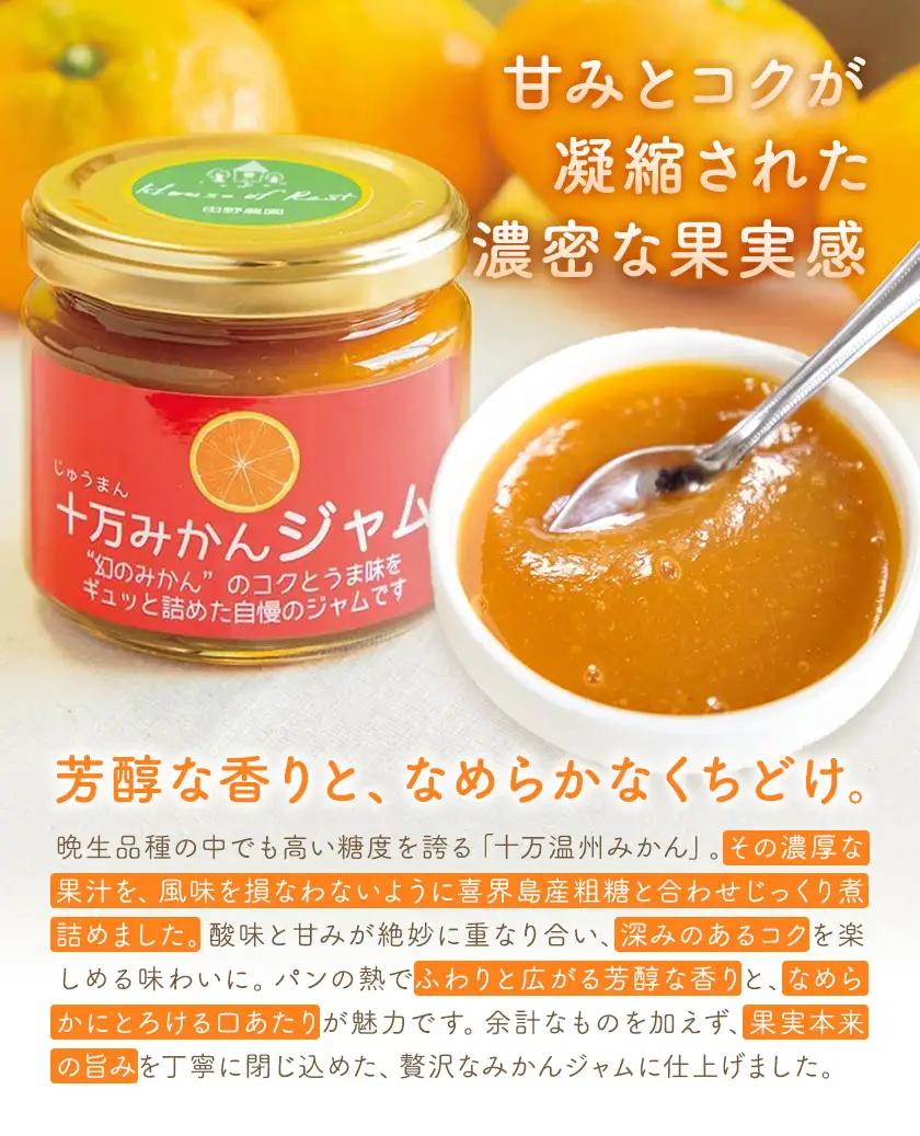 十万みかん ジャム 150g 4個 田野農園《30日以内に出荷予定(土日祝除く)》鹿児島県 さつま町
