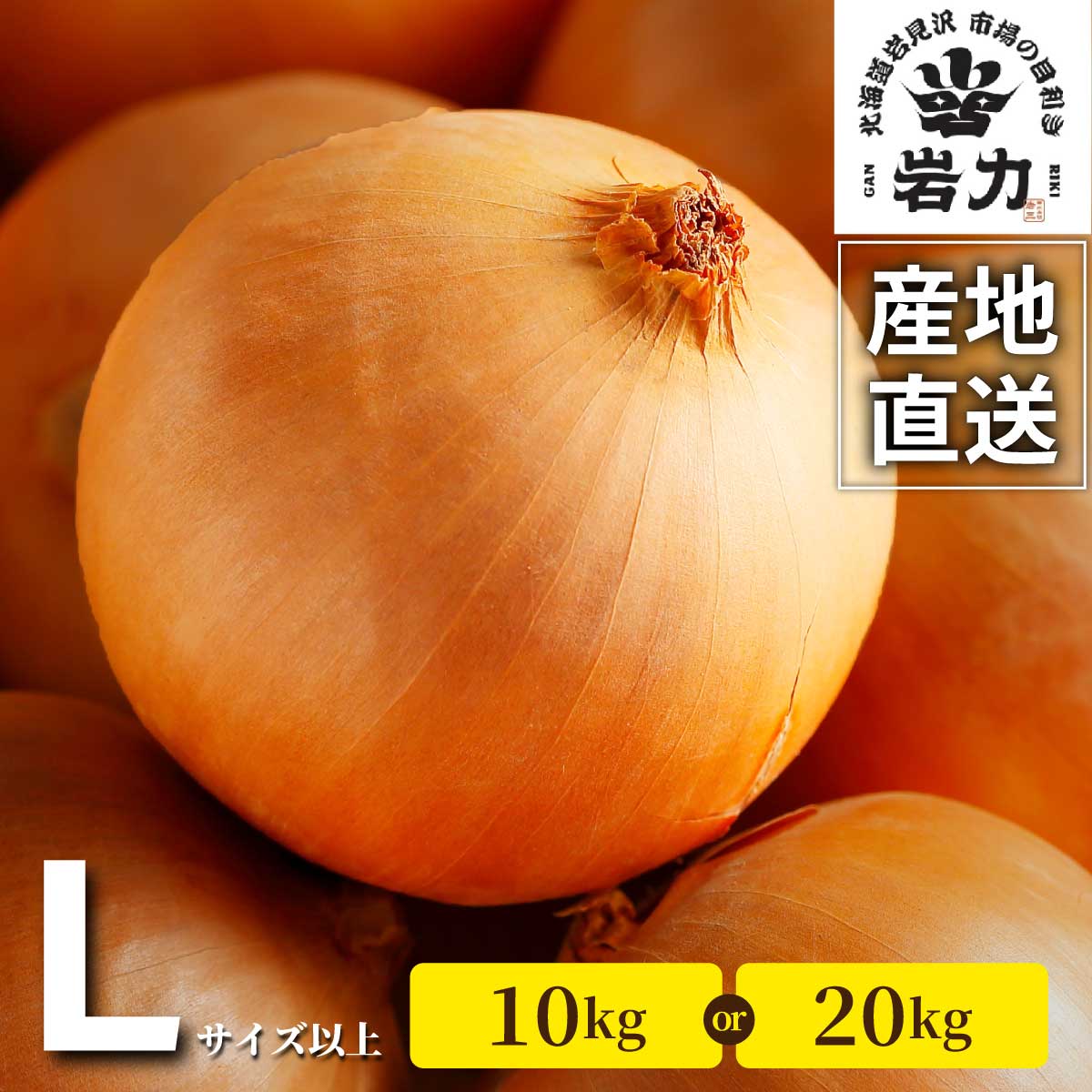 【ふるさと納税】＜選べる内容量＞北海道岩見沢産たまねぎ 10kg〜20kg (市場の目利き・岩力ブランド) | 玉ねぎ タマネギ 玉葱 オニオン 野菜