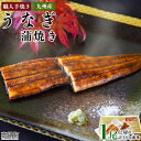 【ふるさと納税】＜職人手焼き九州産 うなぎ 蒲焼き 1尾（2切れ）計130g前後＞ ※入金確認後、翌月末迄に順次出荷します。ウナギ 鰻 宮崎県 高鍋町【冷凍】