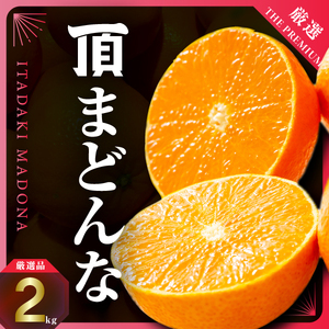 【冬限定の贅沢】ゼリーのような果肉!頂まどんな 2kg【D31-54】【1660046】 YWTAC043