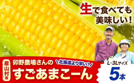 とうもろこし 5本 すごあまこーん  とうもろこし【着日指定不可】