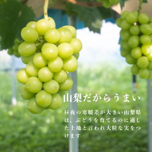 【2025年 先行予約】山梨県産　シャインマスカット 1.1kg (２房～3房)