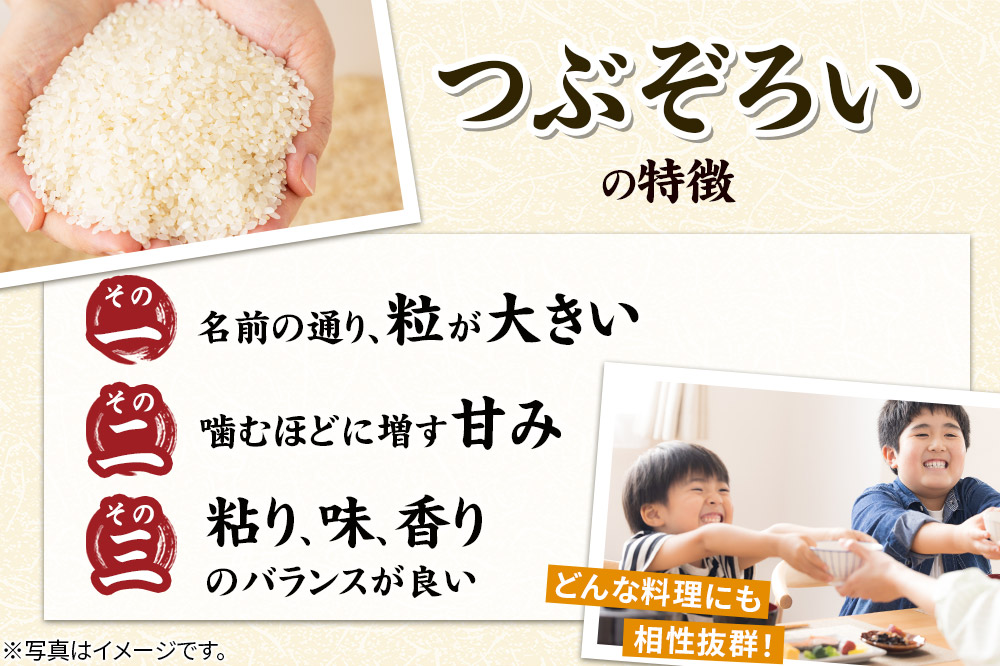 【白米】秋田県由利本荘市産 つぶぞろい 10kg（5kg×2袋）令和7年産