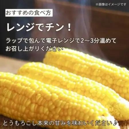 京都府久御山町 とうもろこし 20本 朝採り ゴールドラッシュ【配送不可地域：離島・北海道・沖縄県・東北】【1737373】