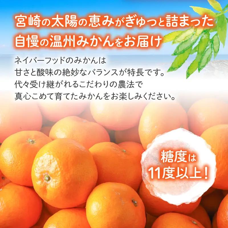 果物 温州みかん 果物[15kg 傷み補償分200gを同梱 2026年～2027年発送先行予約]