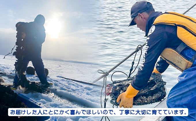 北海道 サロマ湖産 わたゆき牡蠣（ むき身 ）500g 生食 カキ 牡蠣 かき 海鮮 魚介 国産 生牡蠣 冷蔵 産地直送 オホーツク 魚貝類 海の幸 牡蠣のむき身 オイスター