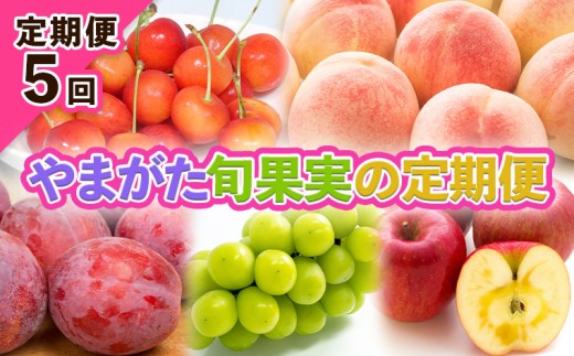 【定期便5回】やまがた旬果実の定期便【令和8年産先行予約】FS25-091