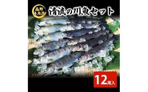 
[№5762-0469]清流の川魚セット12尾入（ヤマメ・イワナ・ニジマス・アユ）
