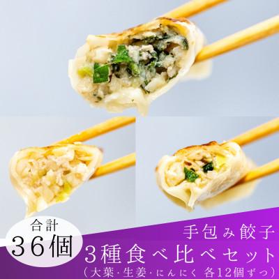 ふるさと納税 草津市 手包み餃子3種セットSパック　合計36個