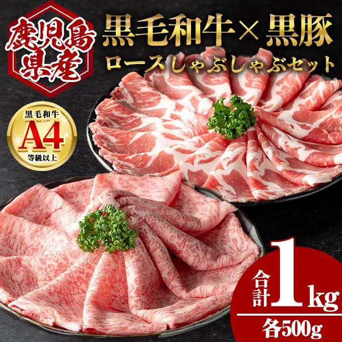 鹿児島県産 黒毛和牛 ロース × 黒豚 肩ロース しゃぶしゃぶ セット (合計1kg・各500g) 国産 牛肉 豚肉【肉のちょーさん】A949