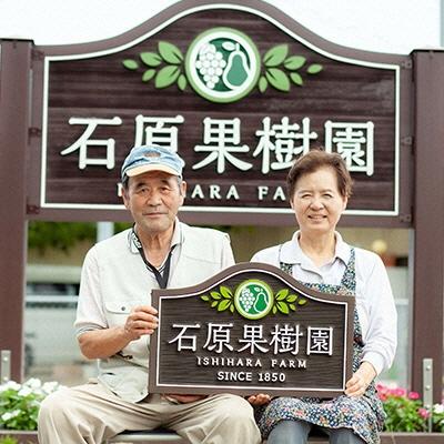 ふるさと納税 瀬戸内市 令和7年産 石原果樹園の備前乙女米 白米 10kg×1袋 岡山県 [No.5735-1123] |  | 03