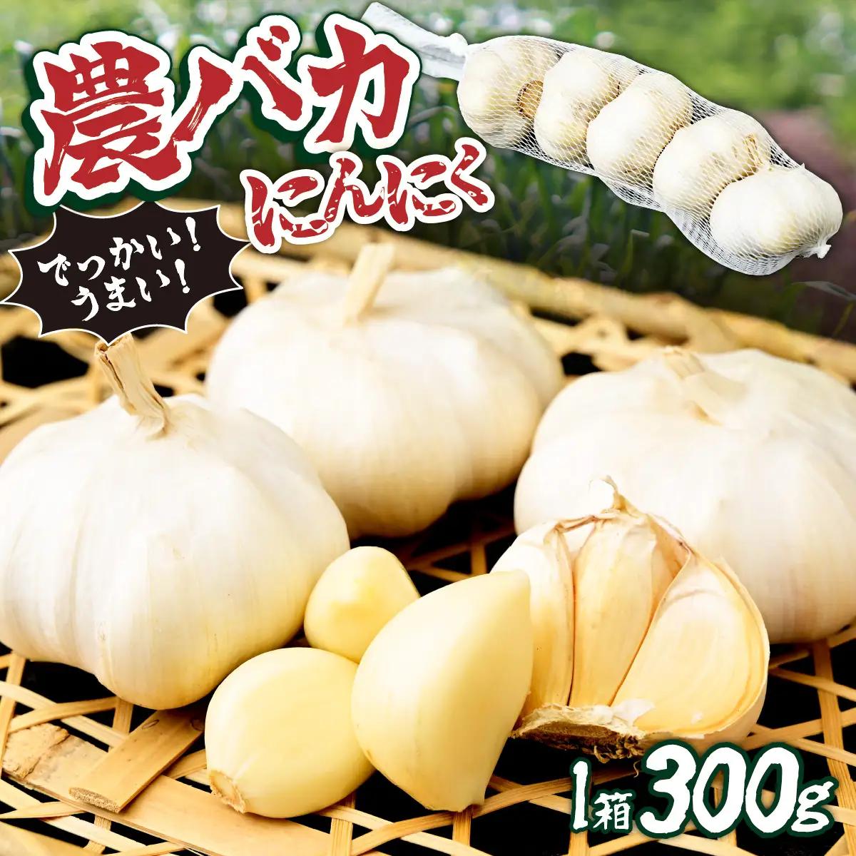 にんにく 農バカにんにく 1箱（300g・5～8個） ＜限定箱＞ | にんにく ニンニク ガーリック 国産 300グラム にんにく ニンニク 東松山あそび農園 埼玉県 東松山市