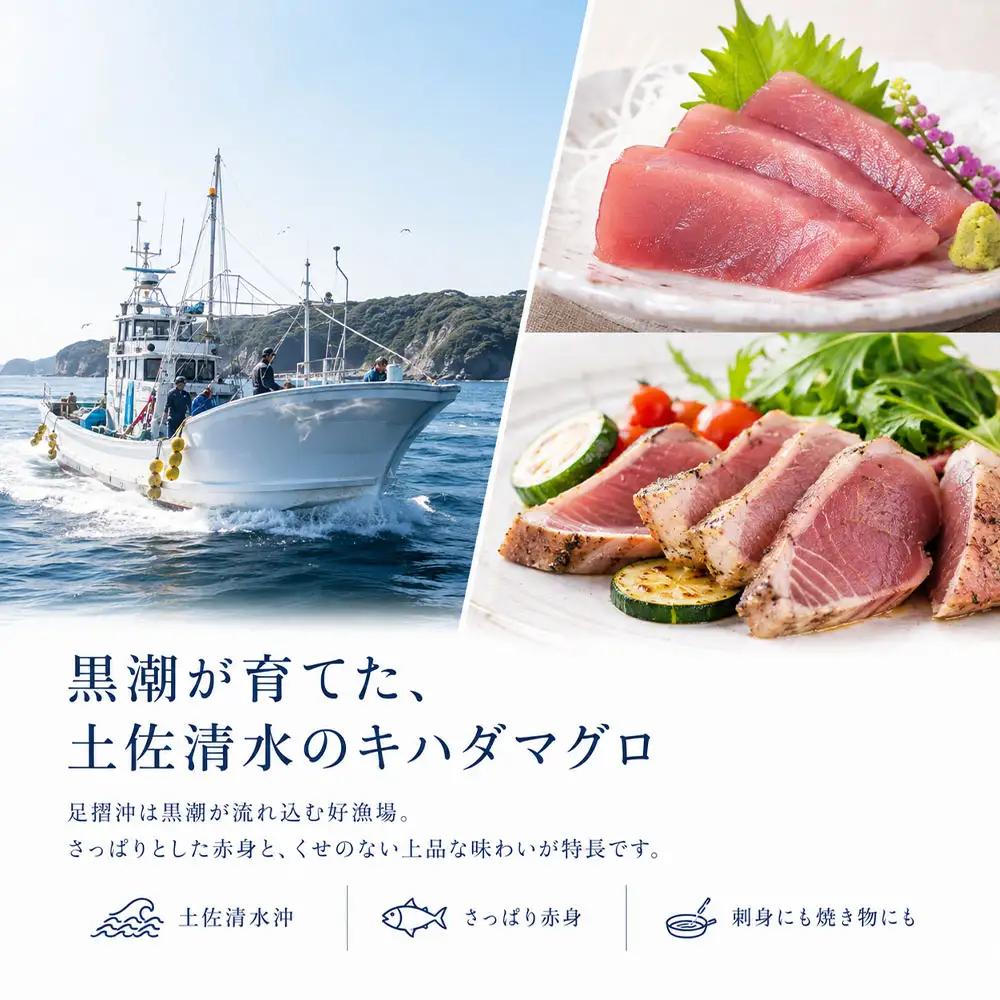 土佐清水沖 キハダマグロ 1尾（約2〜2.5kg）下処理なし【R01757】