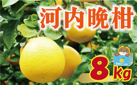 【先行予約】訳あり 河内晩柑 8kg +傷み保証1kg 8000円 愛媛県 愛南町 塚岡農園