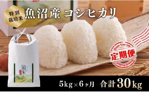 
                  ６カ月定期便【特別栽培米】頂米金兵衛　魚沼産コシヒカリ（精米）5kg
                