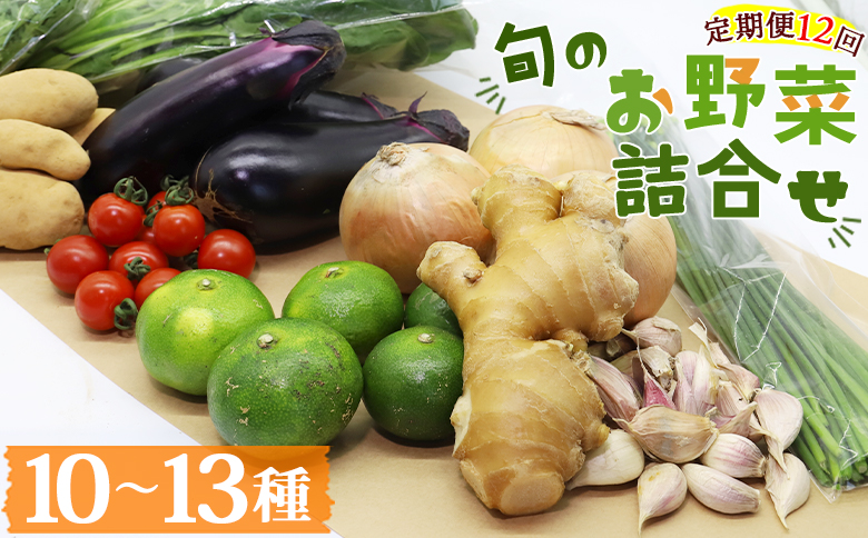 野菜(10～13品目) 12回定期便