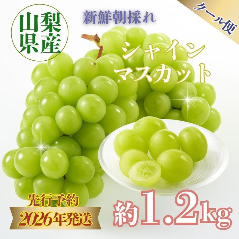 【2026年先行予約】シャインマスカット 1.2kg (2房) ) | 山梨 フルーツ 人気 甘い 糖度  ぶどう シャイン マスカット 名産 糖度 先行予約 甘い 糖度 大粒 種無し 種なし やまなし 山梨県産 葡萄 ブドウ フルーツ 果物 くだもの シャイン マスカット ※2026年 9月上旬より順次発送いたします。天候等の関係で配送開始時期が前後することがございます。