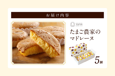 たまご農家 マドレーヌ（5個）ふるさと納税 ふんわり食感 マドレーヌ ココテラス 洋菓子 デイリーファーム デザート スイーツ 人気 たまごとバター こだわりスイーツ ティータイム アフターヌーンティ