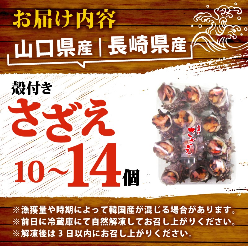 お皿に置くだけ！コリコリの歯ごたえと豪華な見栄えのお造りさざえ！