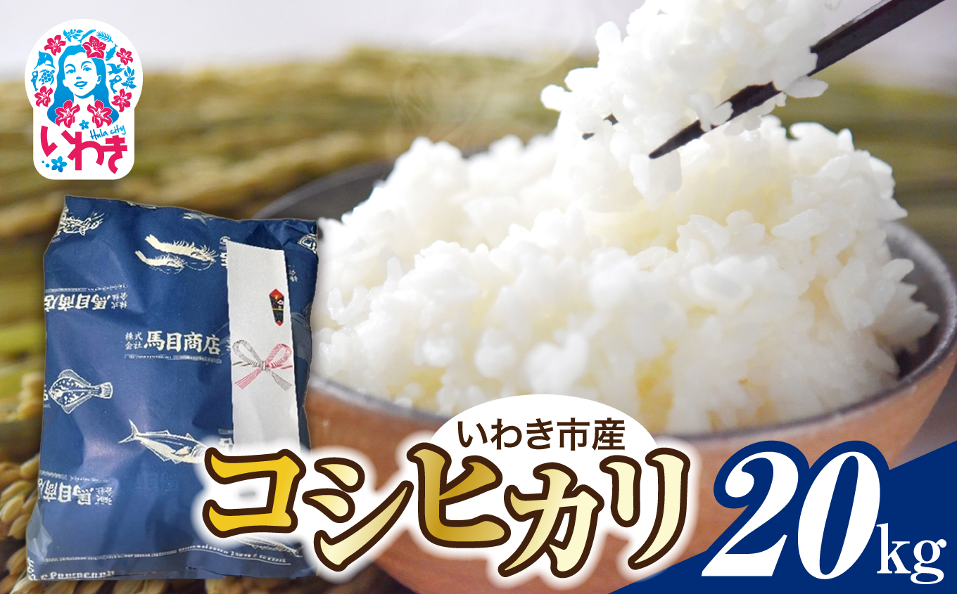 【令和8年産】いわき市産 コシヒカリ 20kg | いわき市産 コシヒカリ 新米 令和8年度産 令和8年産 白米 単一原料米 粒揃い 甘み もちもち ふっくら つややか ごはん ギフト 20kg | BF043-20kg-r8